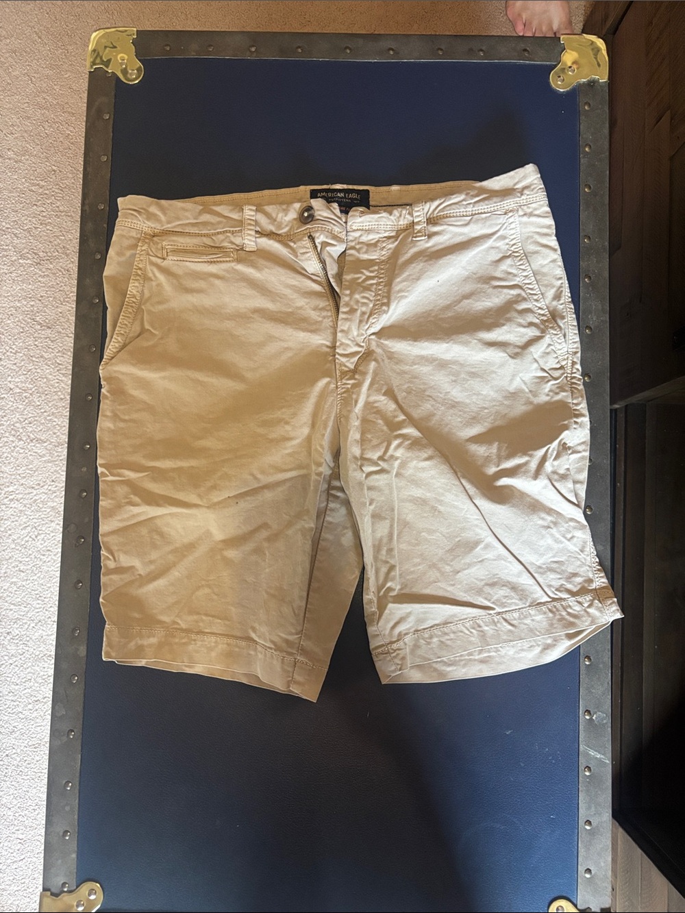 American Eagle Outfitters Tan Flat Front Men's Shorts